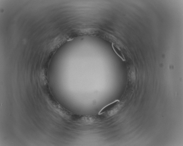 X0000070370764200606231647