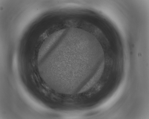 X0000070370765200606231647