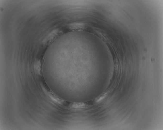 X0000070370767200606231647