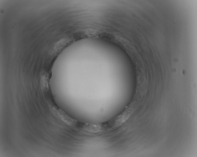 X0000070370768200606231647