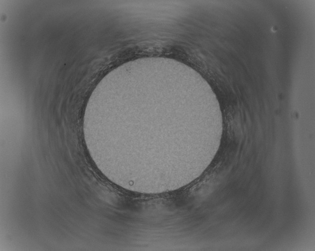 X0000070370769200606231646