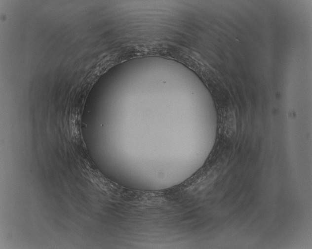 X0000070370770200606231646