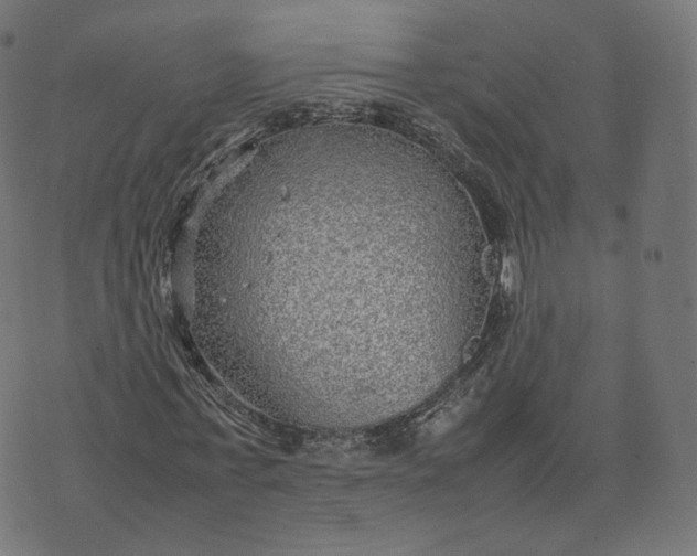 X0000070370771200606231646