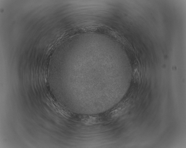 X0000070370772200606231646