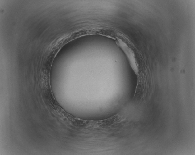 X0000070370773200606231646