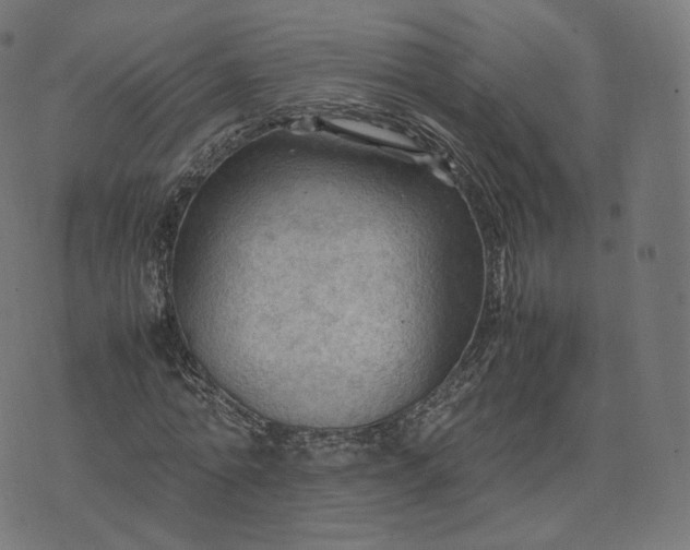 X0000070370774200606231646