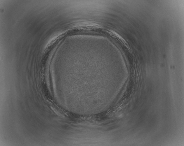 X0000070370775200606231646