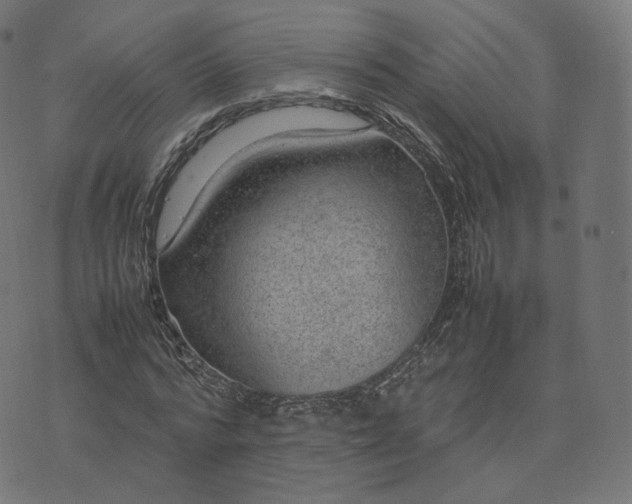 X0000070370776200606231646