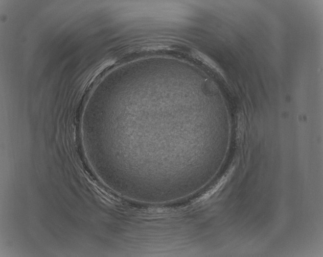 X0000070370777200606231646