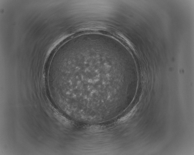 X0000070370779200606231646