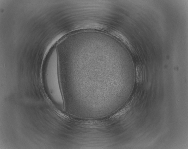 X0000070370780200606231646