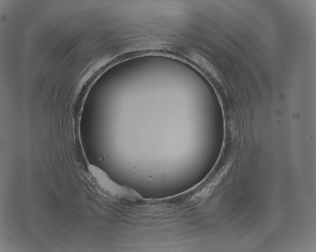 X0000070370781200606231646