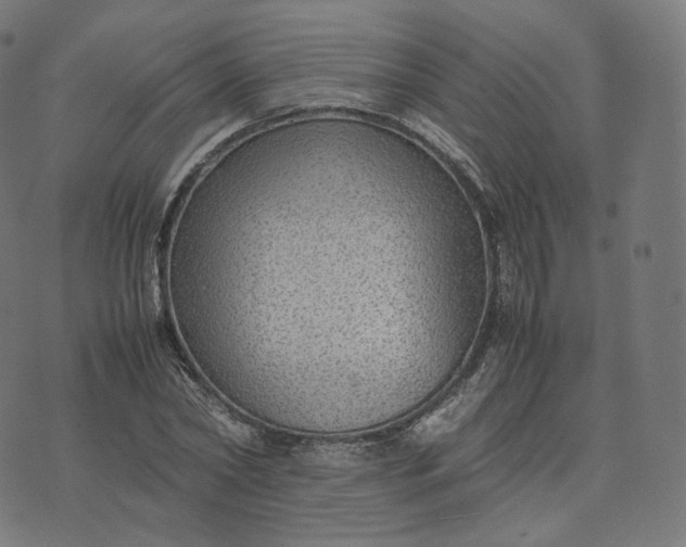 X0000070370782200606231646