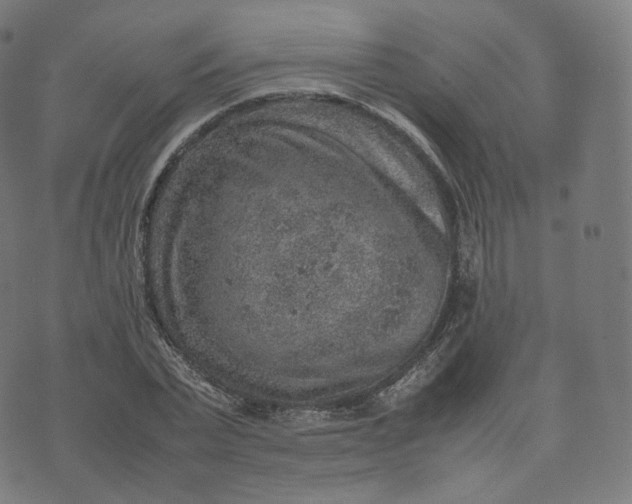 X0000070370783200606231646