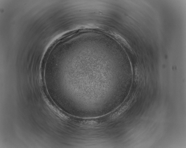 X0000070370784200606231646