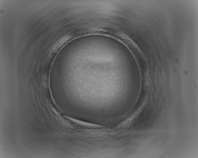 X0000070370785200606231646