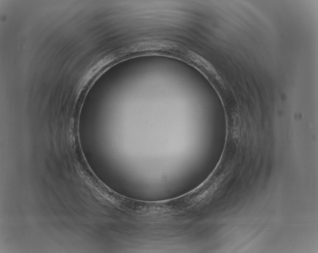 X0000070370786200606231646