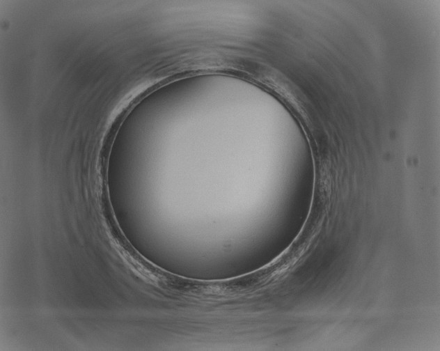 X0000070370787200606231646