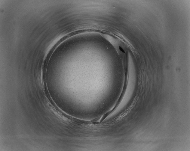 X0000070370788200606231646