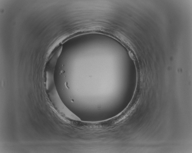 X0000070370789200606231646