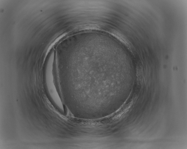 X0000070370790200606231646