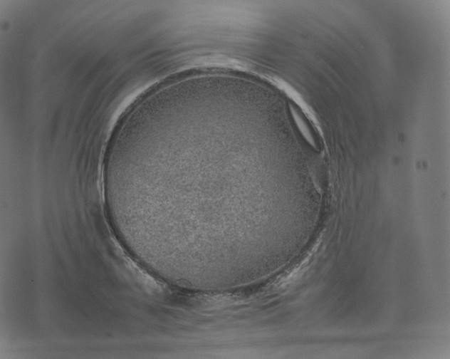 X0000070370791200606231646