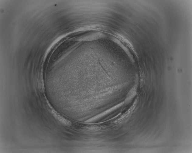 X0000070370792200606231646