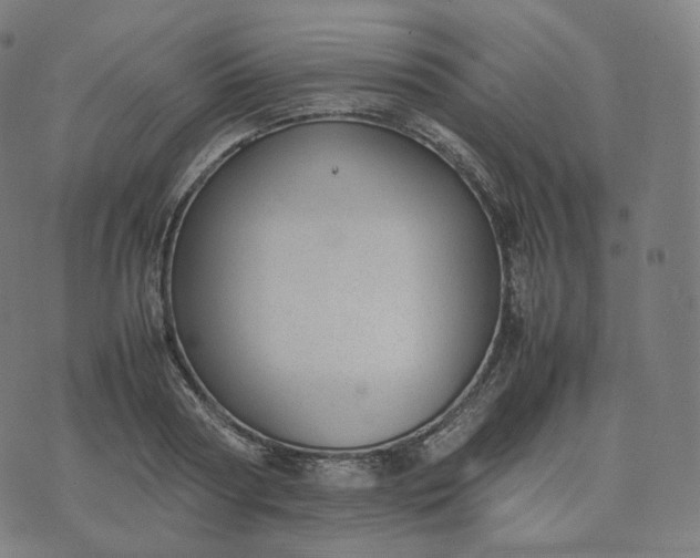 X0000070370794200606231646