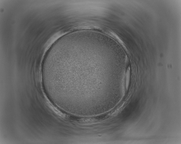 X0000070370795200606231646