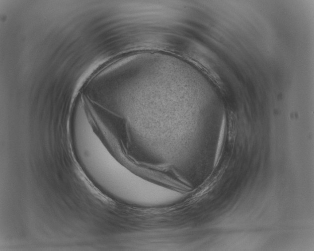 X0000070370796200606231646