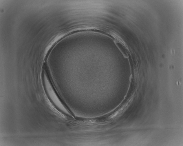 X0000070370797200606231646