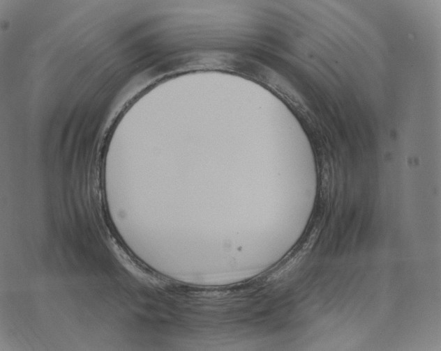 X0000070370800200606231646