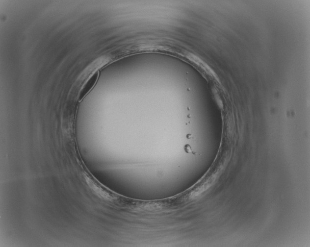 X0000070370801200606231646