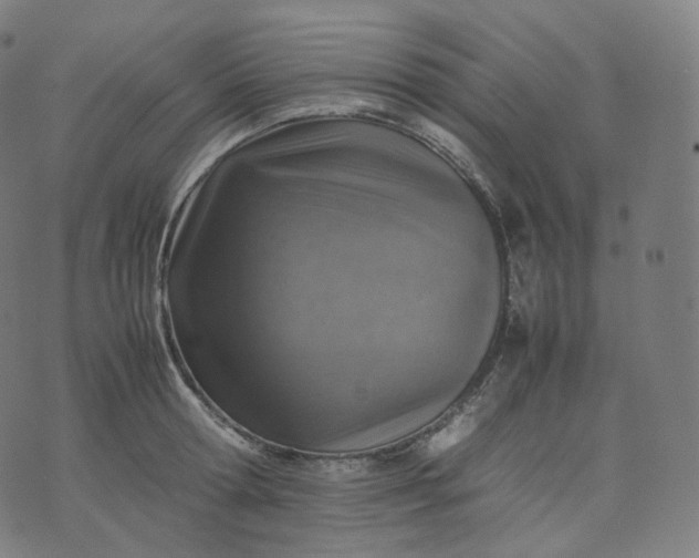 X0000070370802200606231646