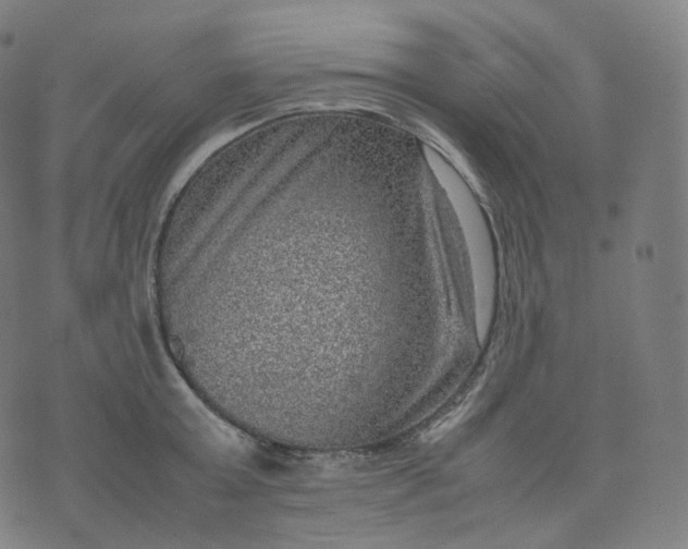 X0000070370803200606231646