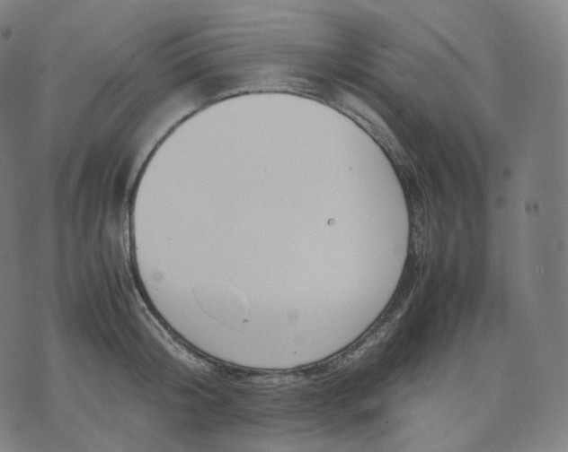 X0000070370804200606231646