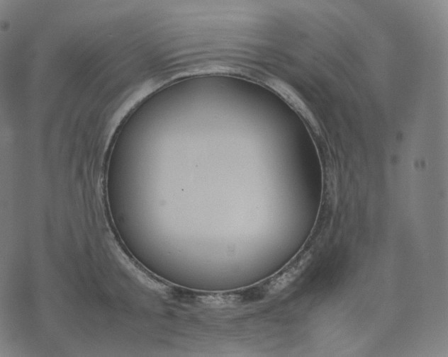 X0000070370805200606231646