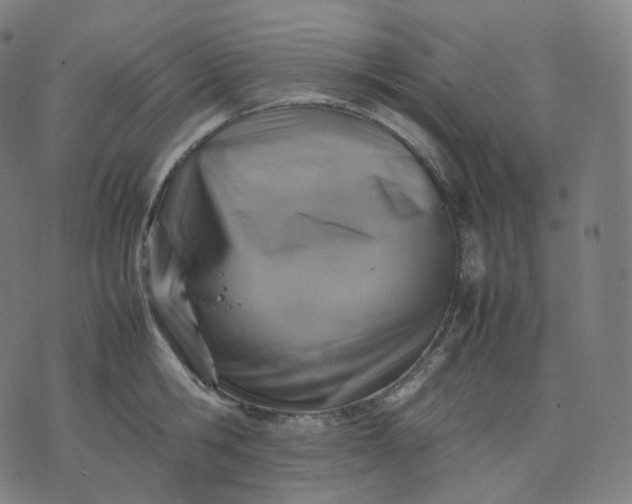 X0000070370806200606231646