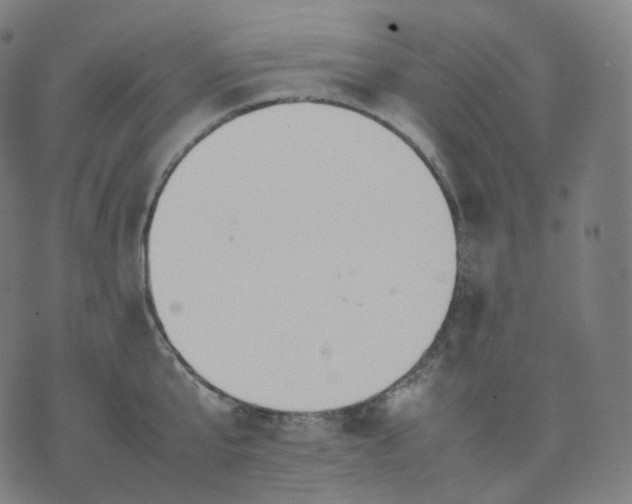 X0000070370807200606231646