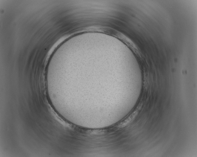 X0000070370808200606231646