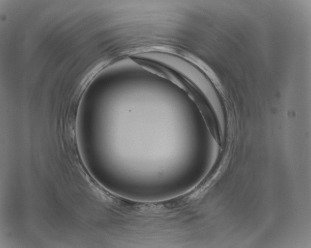 X0000070370809200606231646