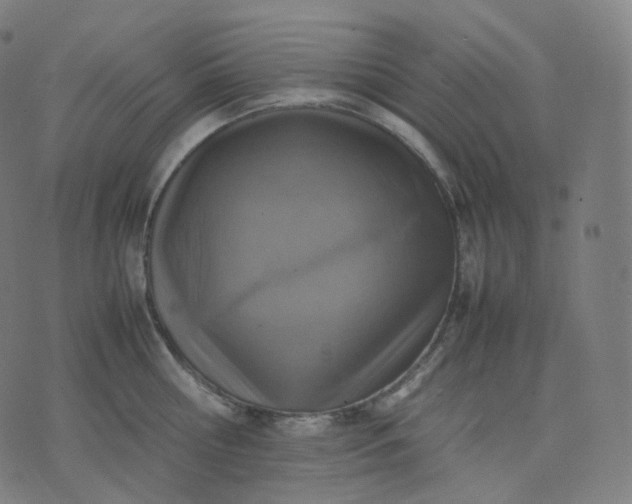 X0000070370810200606231646