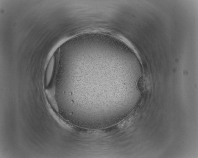 X0000070370811200606231646