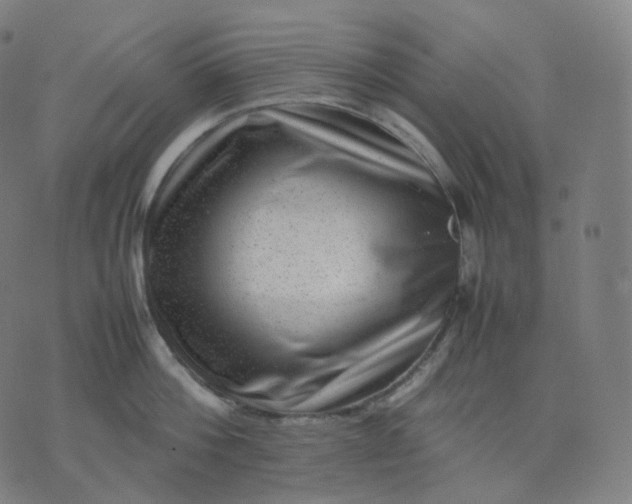 X0000070370812200606231646