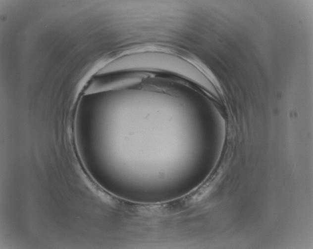 X0000070370813200606231646