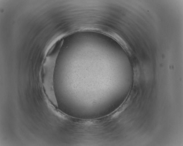 X0000070370814200606231646