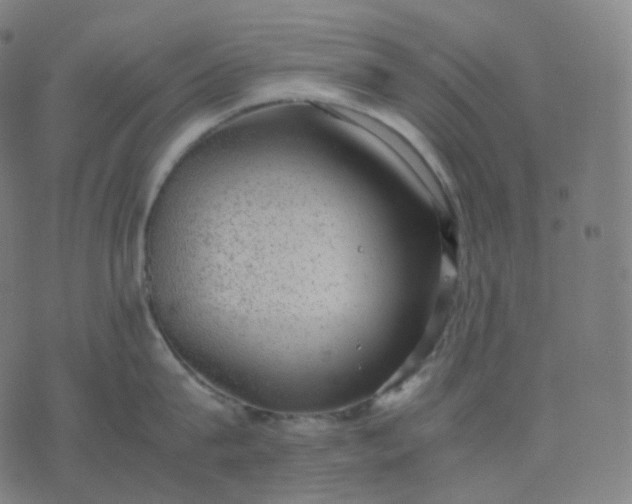 X0000070370815200606231646