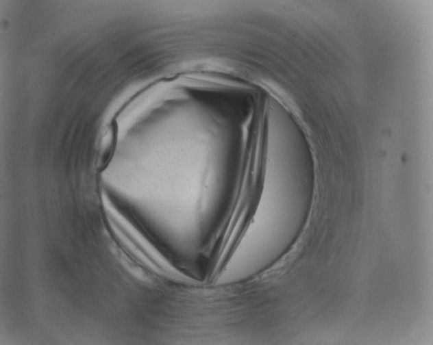 X0000070370816200606231646