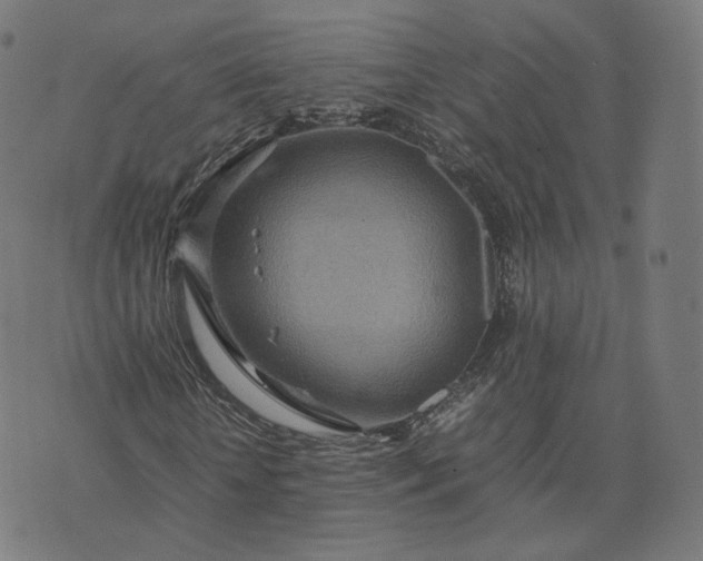 X0000070370818200606231645