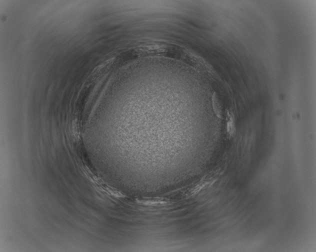 X0000070370819200606231645